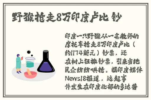 榴莲视频下载视频1.0.1